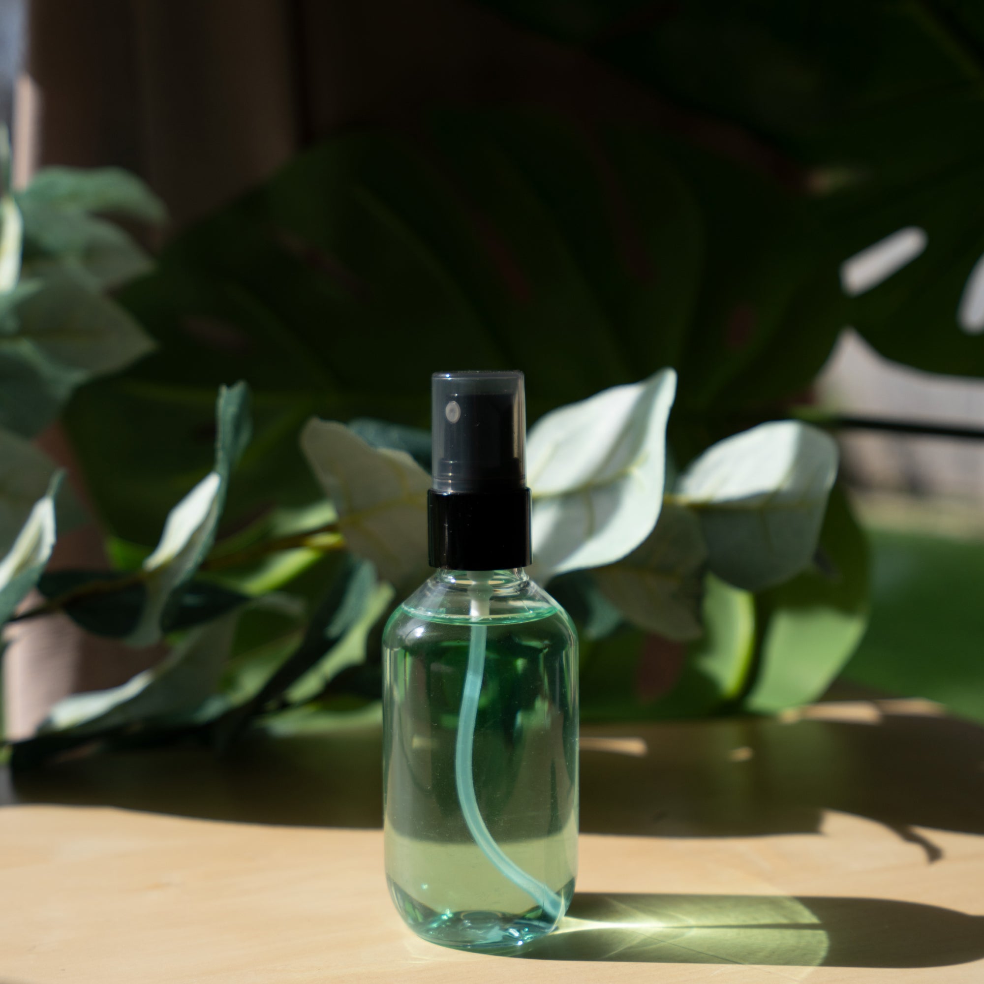 Rejuva Fresh Setting Spray, plants and sunlight